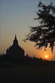 lô bạch thủ khung 5 ngày