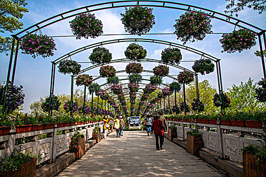 soi cầu lô bach thủ ngày hôm nay