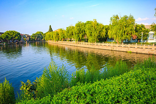 lô ra theo đặc biệt