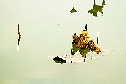 thống kê lô gan