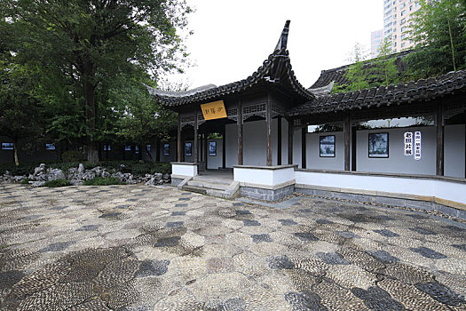 soi cau 3 mien chinh xac