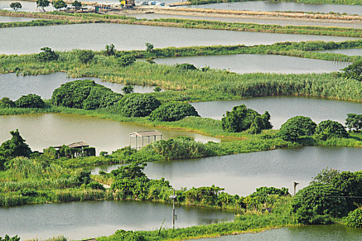 xsmb chủ nhật