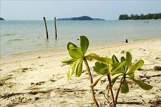 quay số thử miền nam