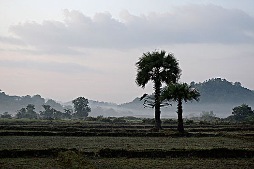 du doan bach thu mien nam