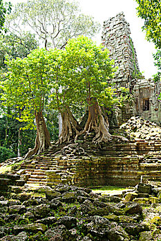 soi cau lo bach thu khung 3 ngay