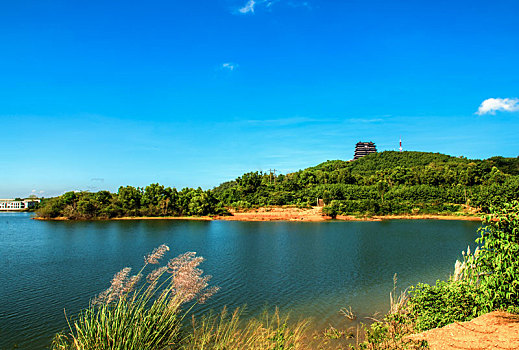 chơi lô trượt