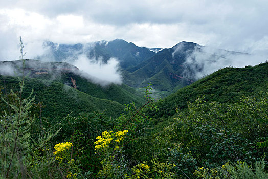 soi cau bach thu lo de mien bac mien phi