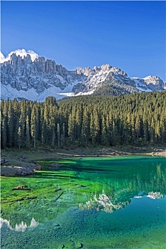 cau rong bach kim