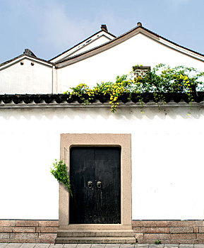 soi câu 555