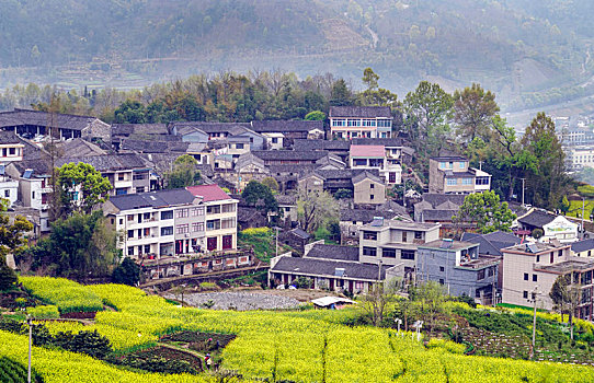 soicau lode chuan