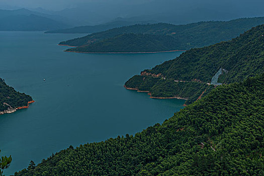 rong bach kim