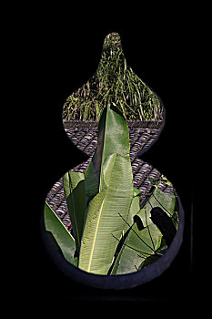xổ số đồng tháp thành phố