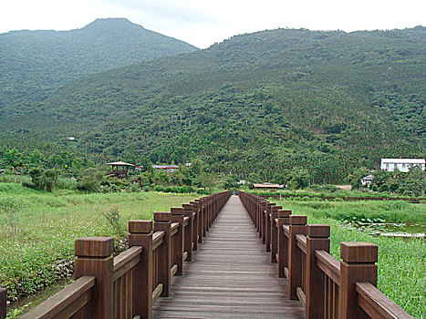 bang thong ke dac biet
