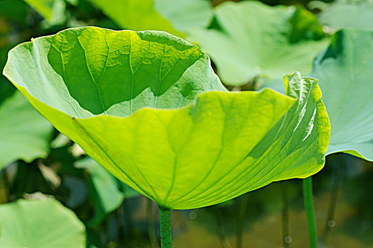 soi cầu 366com