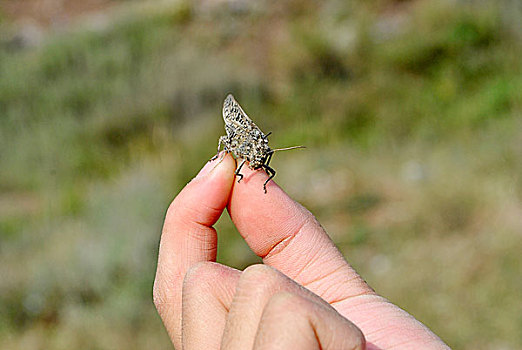 dự đoán lô đề