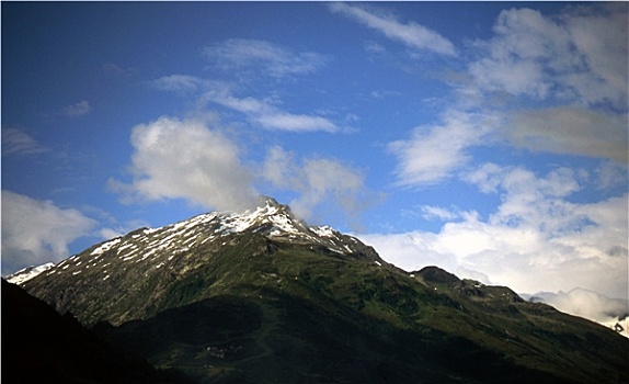soi lo bach thu