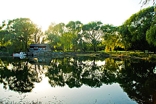 cau bachthu mienbac