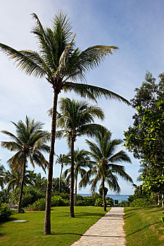 cau lo bach thu khung 3 ngay
