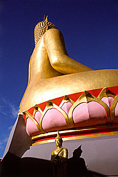 du doan minh ngoc