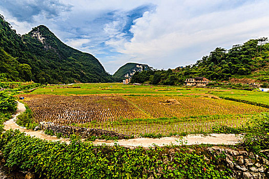 soi cau bach thu mb
