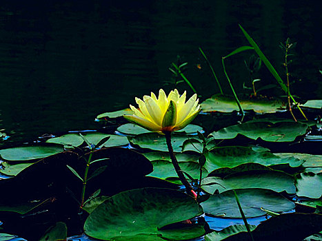 con lô đẹp hôm nay