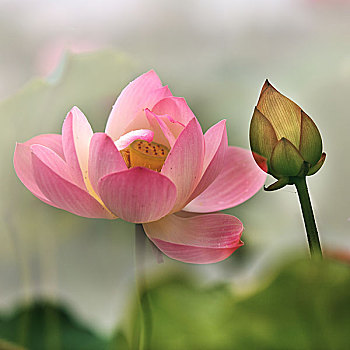 dàn đề miền bắc hôm nay