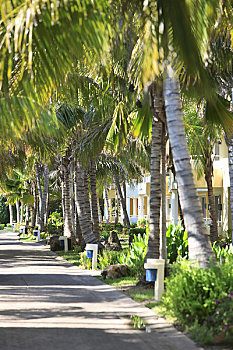 cach tinh lo xien