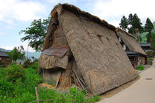 dự đoán xổ số hồ chí minh
