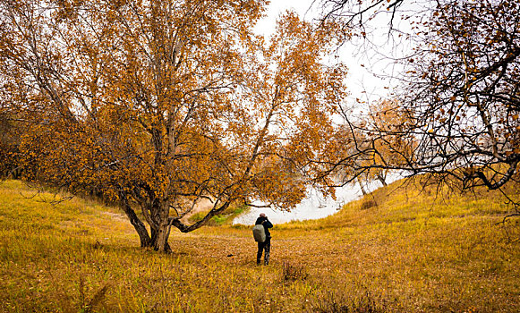 du doan xs hcm
