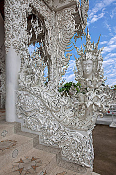 soi cau bach thu lo to