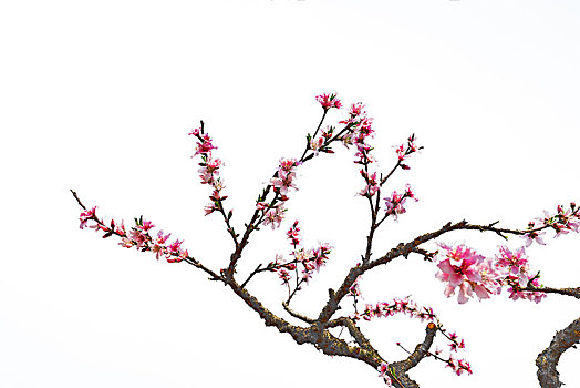 xổ số hôm