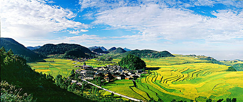 xo so miền bac