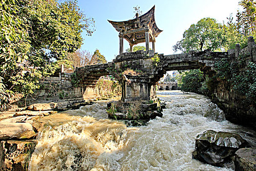 soi cau vip binh dinh