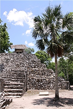 sổ kết qua