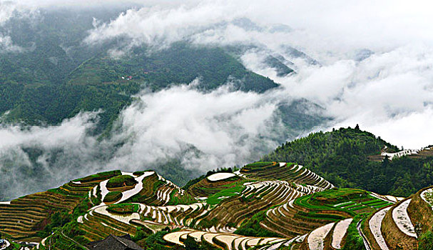 soi cau doan so 135