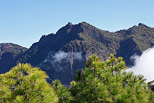 soi cau binh dinh 3s