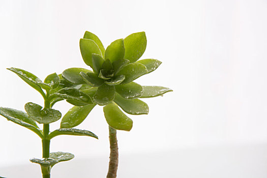 dự đoán kết quả lô đề hôm nay