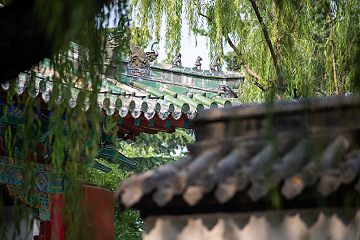 bạch thủ lô ngày hôm nay