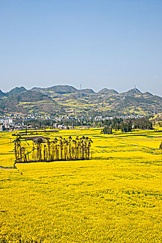 thong ke xs ha noi