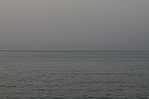 cau bạch thu hom nay