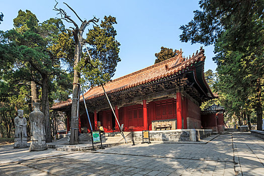cau bach thu ngay mai