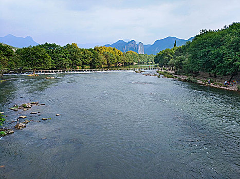 soi cau rong vang