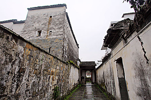 bach thu khung 3 ngay