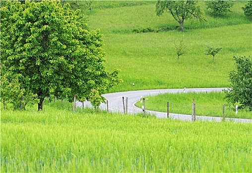 xổ số tp hcm