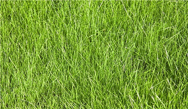 soi cầu lô đề bạch thủ miền bắc