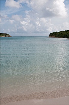 cau bach thu de
