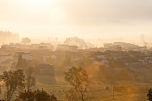 soi câu 888