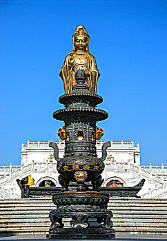 soi cau lo de rong bach kim