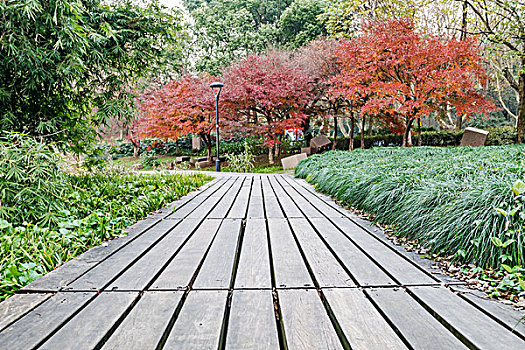 kinh nghiem danh lo bach thu