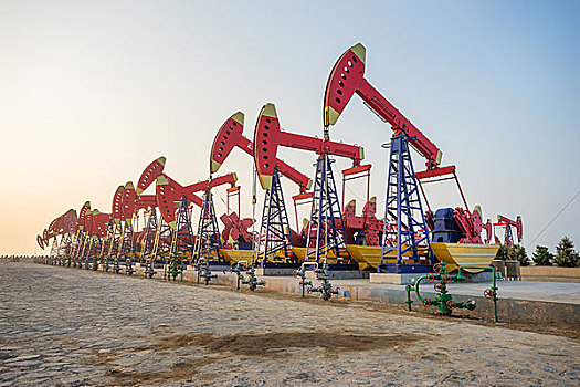 xs trực tiếp